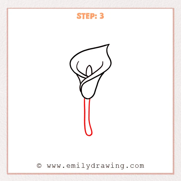 how to draw a calla lily - Calla lily sketch with inner folds and a long, smooth stem added below, ending in a rounded tip.